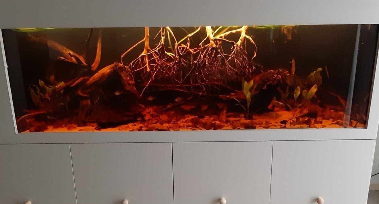 Aquarium met bioloog, Dieren en Toebehoren, Ophalen, Gebruikt, Leeg aquarium