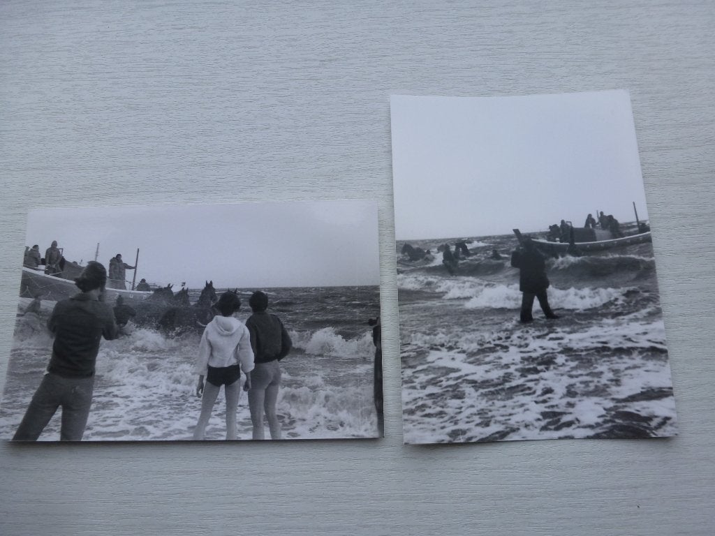 2 foto's ongeluk paarden Reddingsboot Ameland 1979, Ophalen of Verzenden, 1960 tot 1980, Nieuw