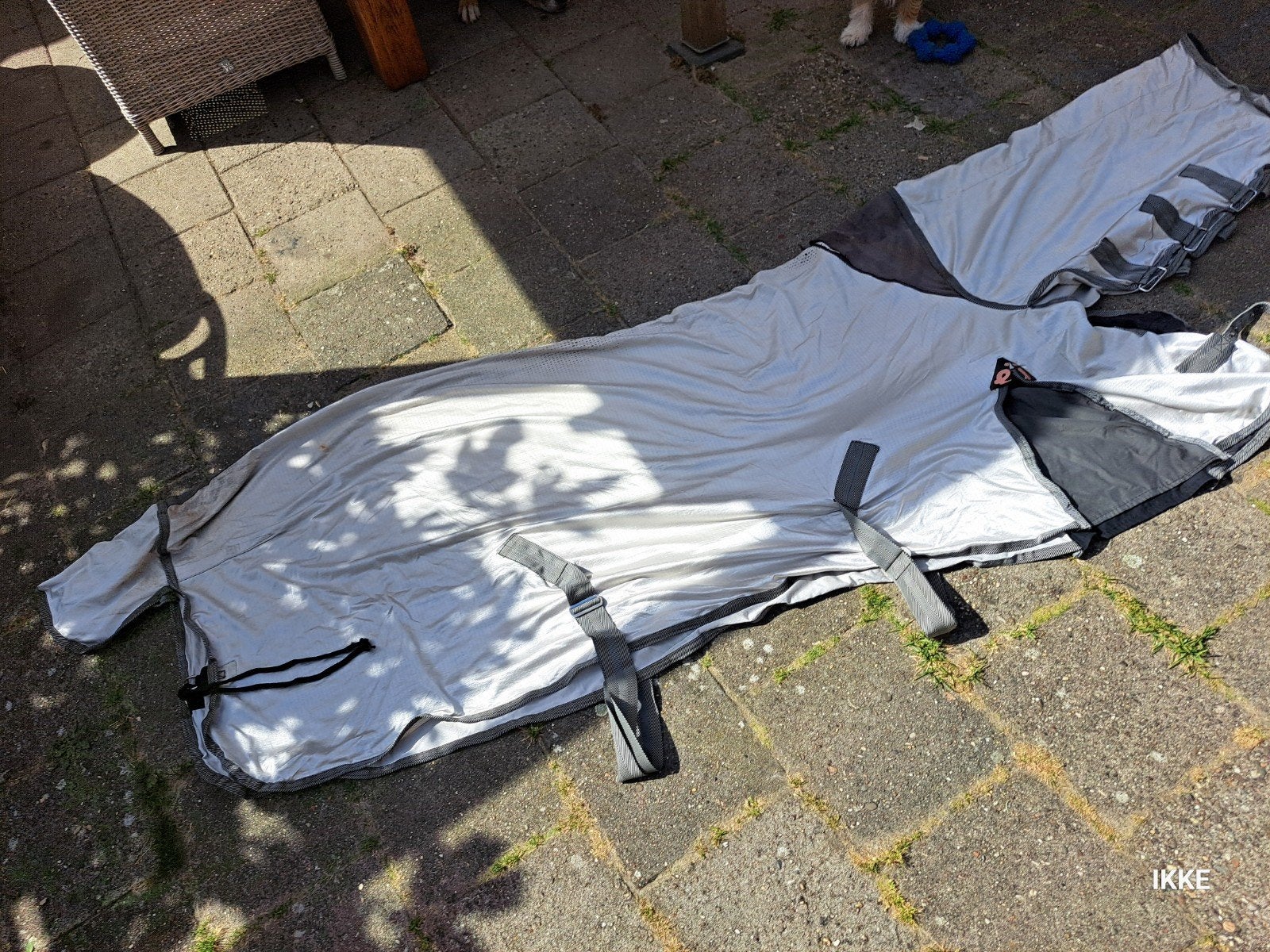 Vliegen deken, Gebruikt, Vliegendeken, Ophalen of Verzenden, Epplejeck