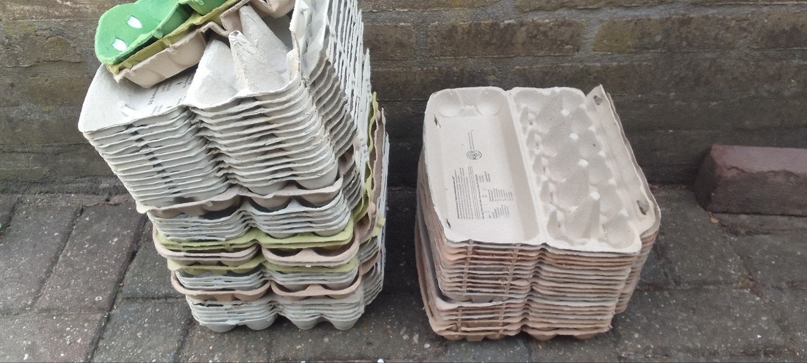 55 eierdozen