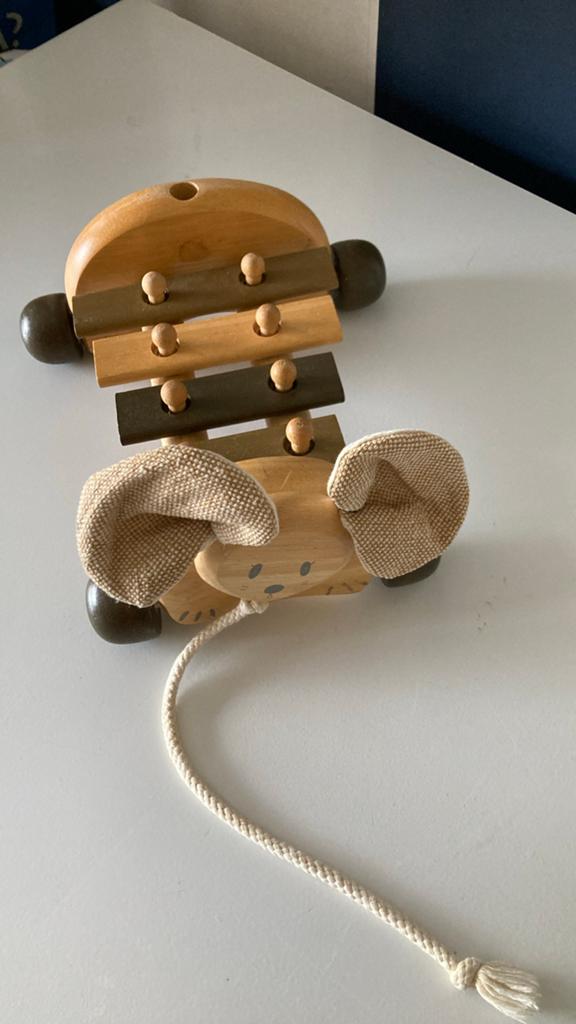 Houten xylofoon met trekkoord - Muzikaal speelgoed, Ophalen of Verzenden, Gebruikt, Overige typen, Met geluid