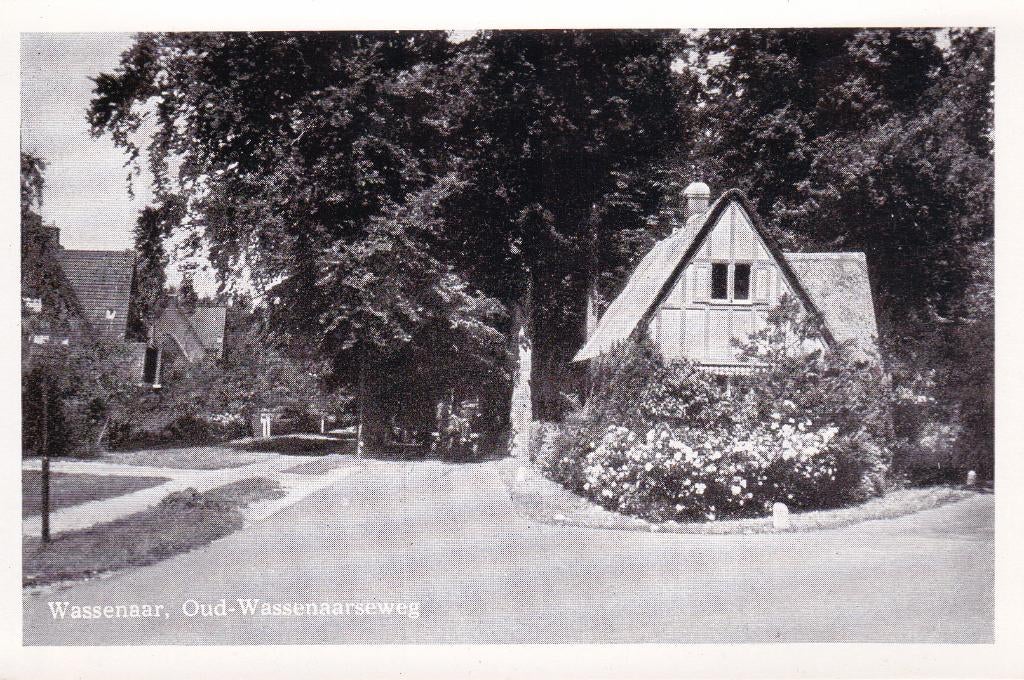 08186 Wassenaar - Oud Wassenaarseweg, Verzenden, 1940 tot 1960, Ongelopen, Zuid-Holland