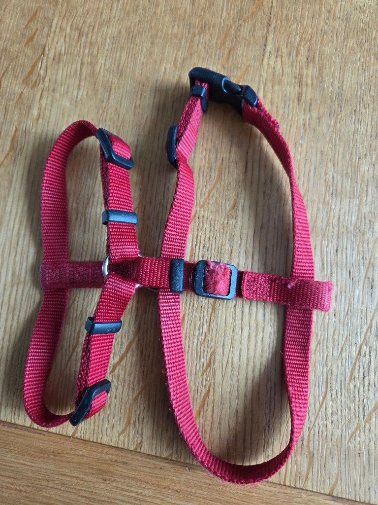 honden puppy tuigje rood, Ophalen of Verzenden, Gebruikt, Hondentuig