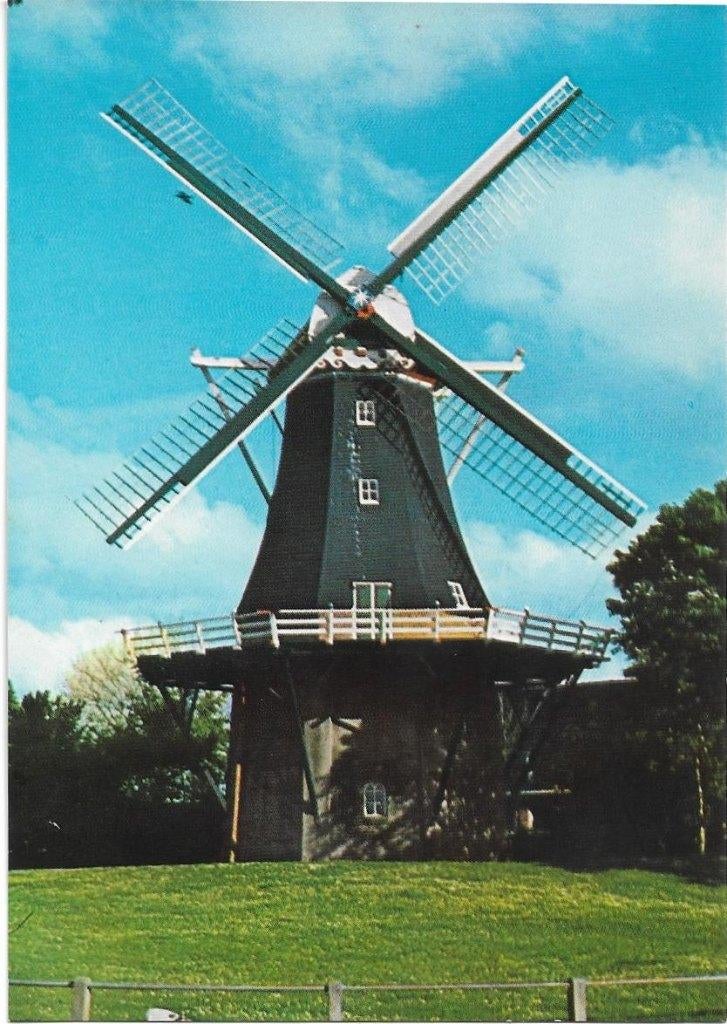 Pieterburen, Molen de Vier Winden, Verzamelen, Ansichtkaarten | Nederland, Verzenden, Ongelopen, Groningen