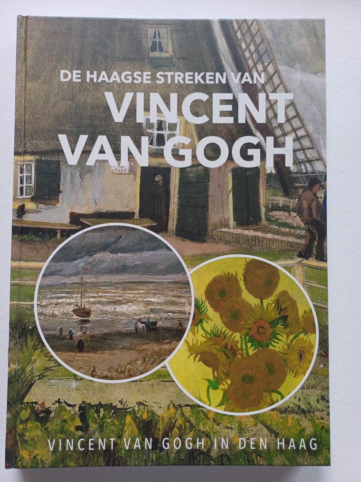 De Haagse Streken van Vincent van Gogh, Ophalen of Verzenden, Zo goed als nieuw, Overige onderwerpen, Kunsthistorica F.W. Hofstra, MA