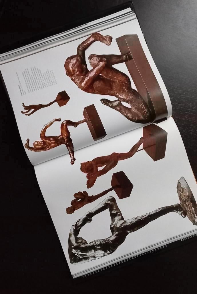 RODIN Boek, Boeken, Kunst en Cultuur | Beeldend, Zo goed als nieuw, Overige onderwerpen, Ophalen of Verzenden