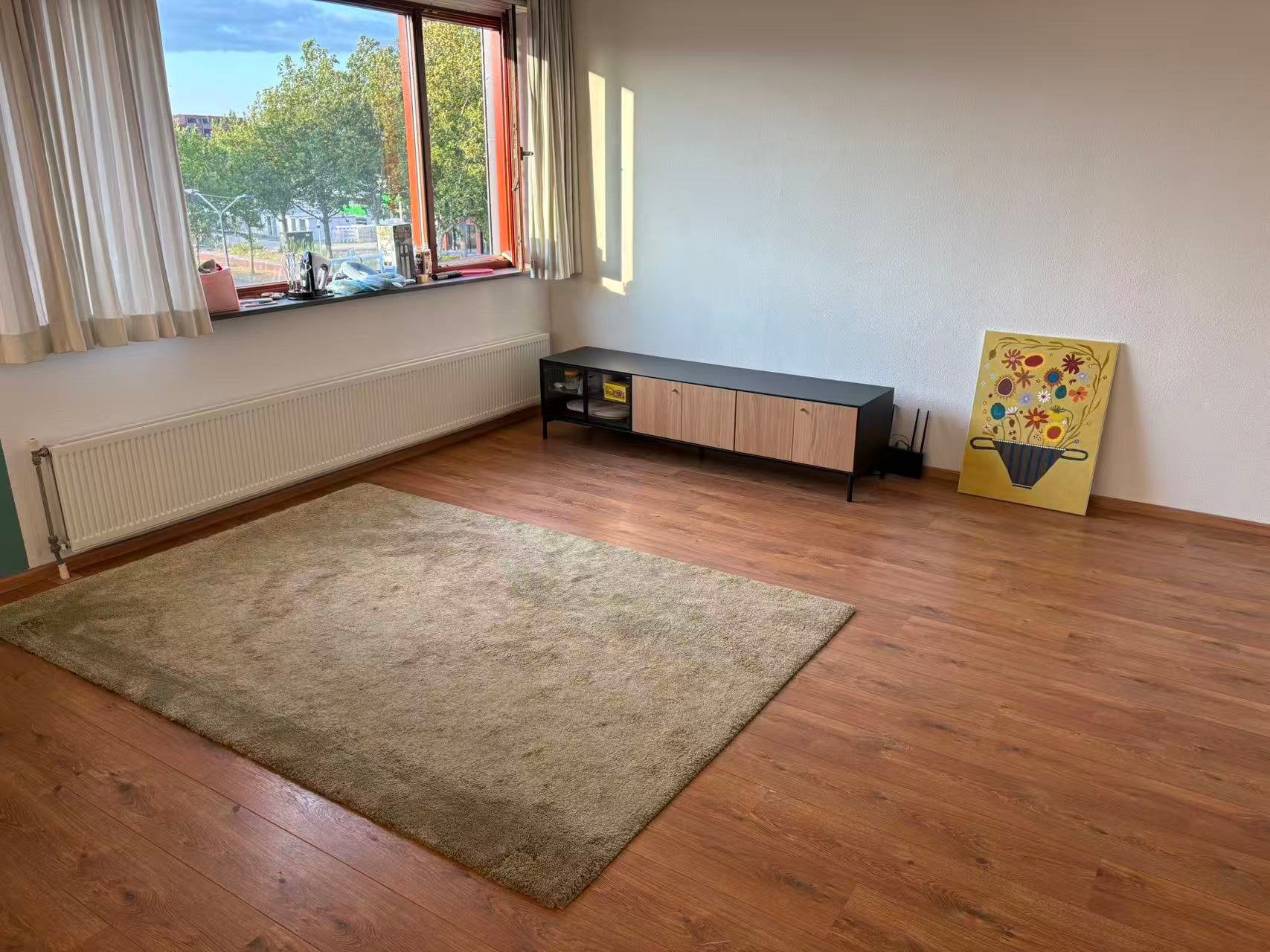STOENSE Vloerkleed, laagpolig, groen, 170x240 cm, Huis en Inrichting, Stoffering | Tapijten en Kleden, Ophalen, 150 tot 200 cm