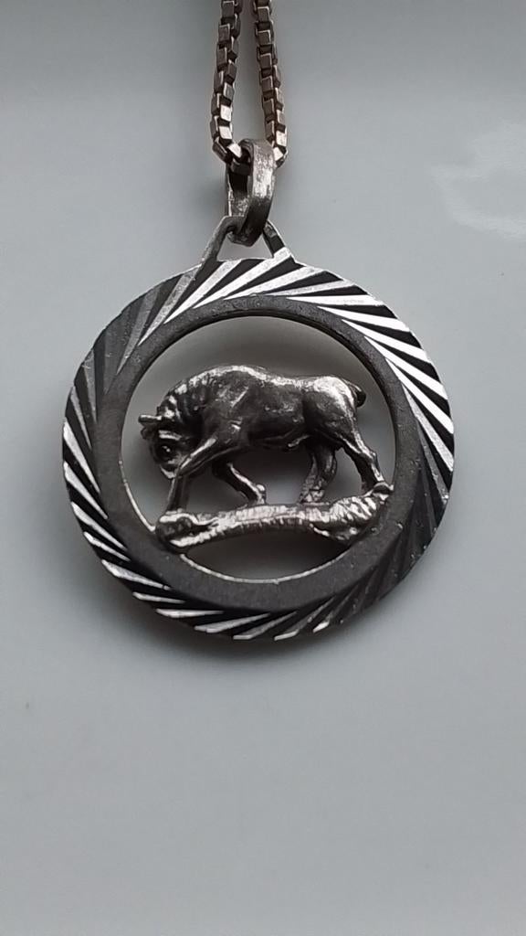 Vintage zilveren sterrenbeeld met ketting, Met hanger, Ophalen of Verzenden, Zo goed als nieuw, Zilver