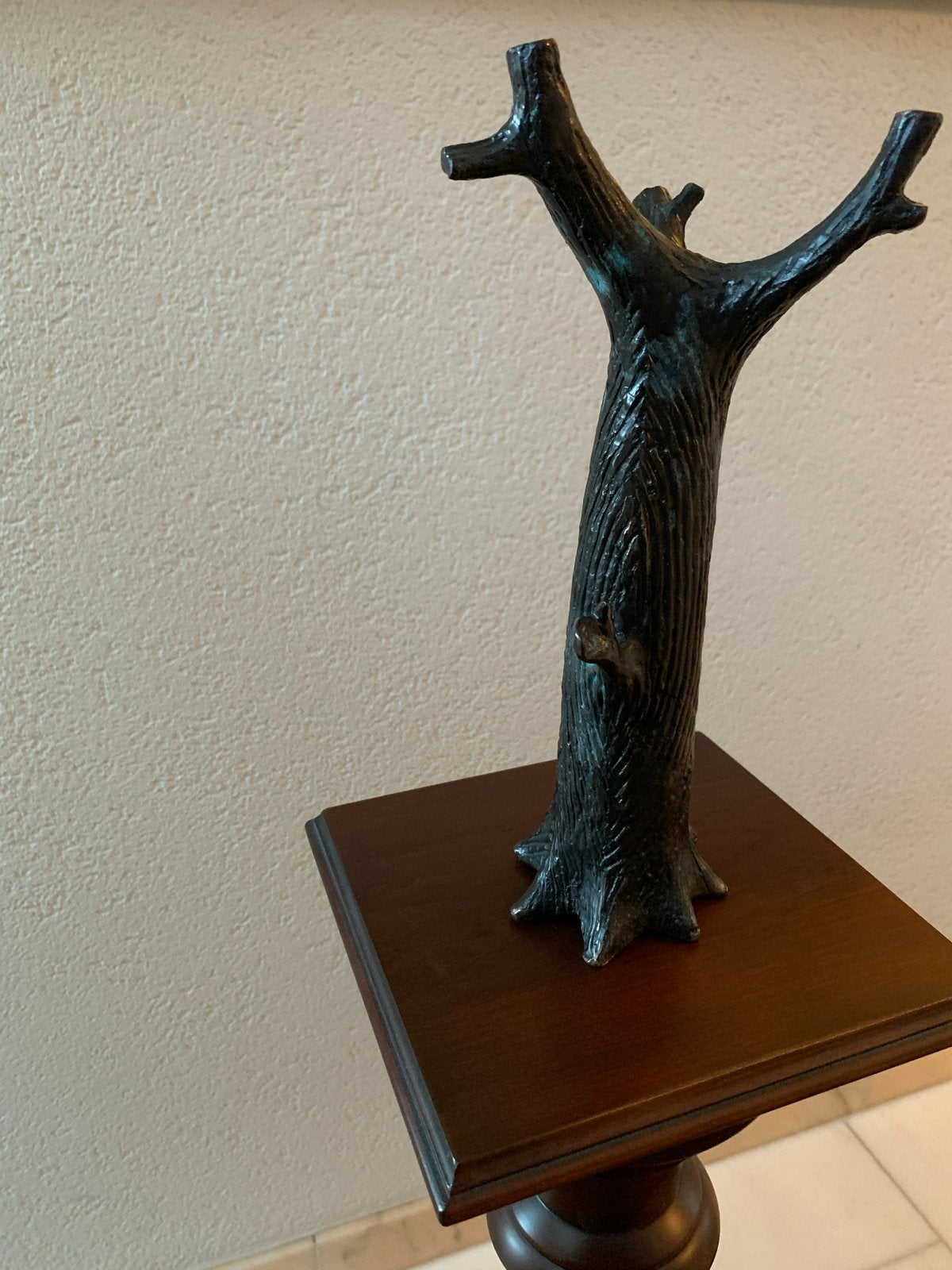 Bronzen boom sculptuur - Uniek kunstwerk van Hans Lemmen, Boeken, Ophalen of Verzenden, Zo goed als nieuw, Nederland