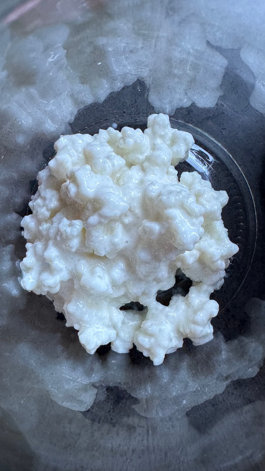 Kefir, Ophalen