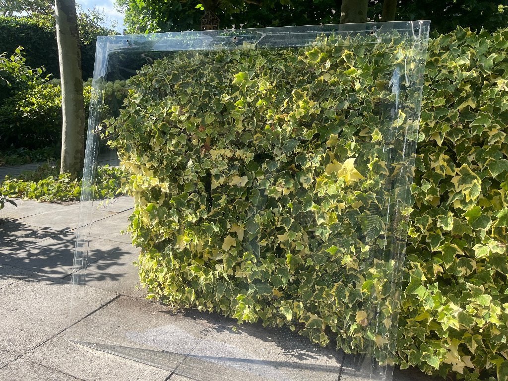 Lichtkoepel dubbelwandig 100x100cm, Doe-het-zelf en Verbouw, Glas en Ramen, Ophalen, Gebruikt, 80 tot 120 cm, 80 tot 120 cm