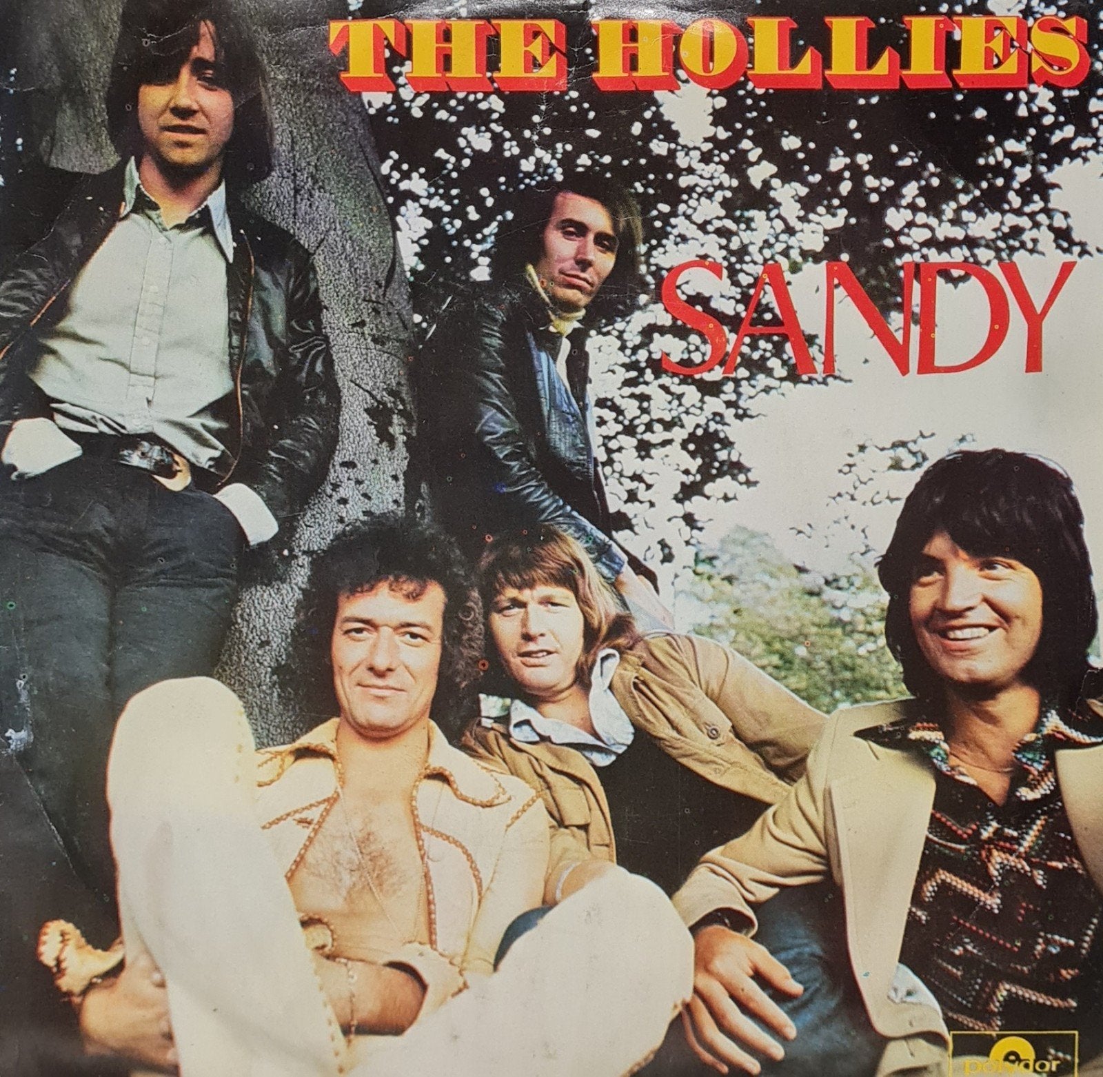 THE HOLLIES - SANDY, Ophalen of Verzenden, Gebruikt, Pop