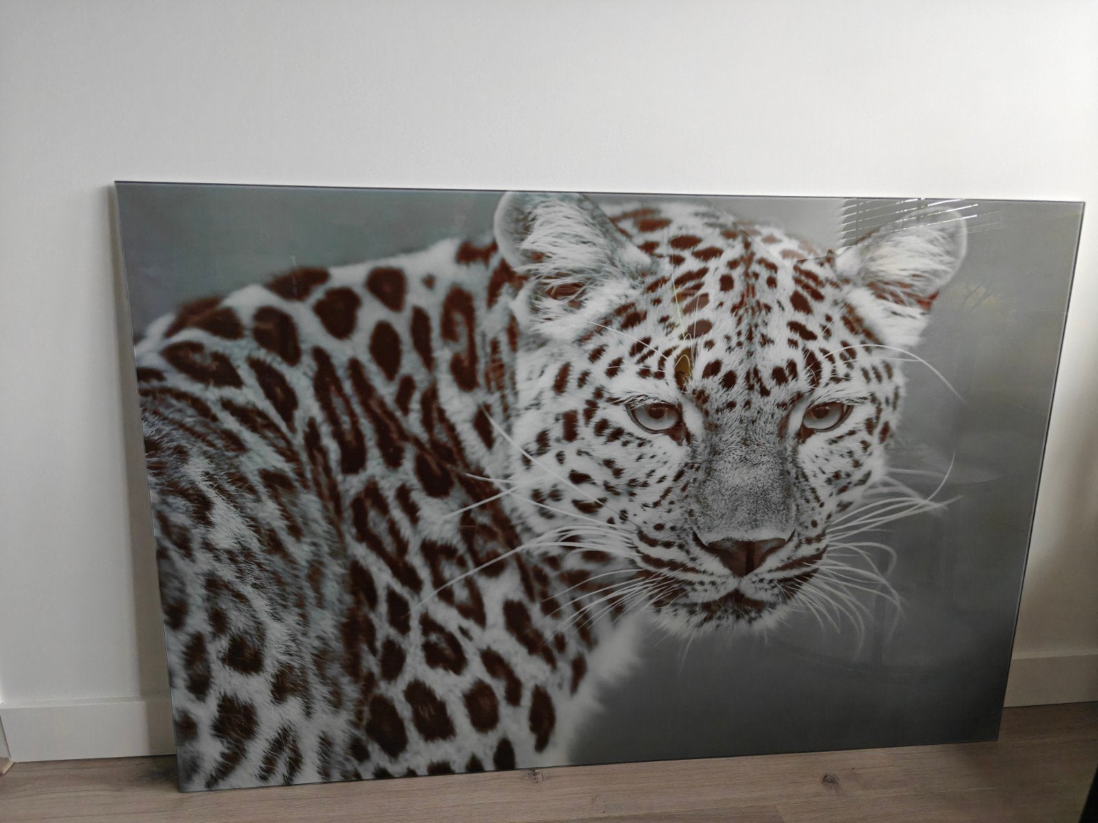 Foto jaguar in glas, Huis en Inrichting, Ophalen, 50 – 75, Zo goed als nieuw, Schilderij
