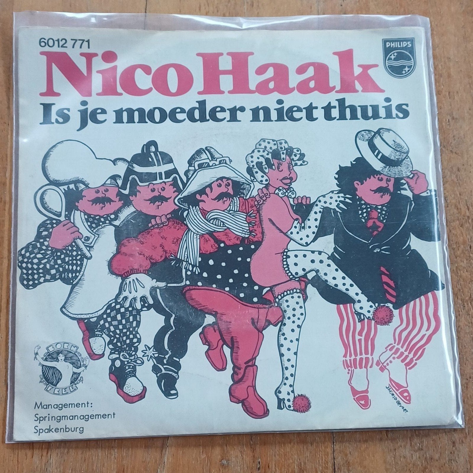 Nico Haak, Cd's en Dvd's, Ophalen of Verzenden, Zo goed als nieuw, Nederlandstalig