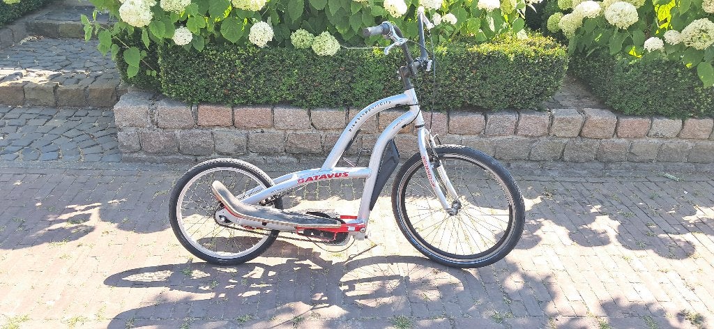 Batavus Stepperbike, Ophalen, Gebruikt, Batavus