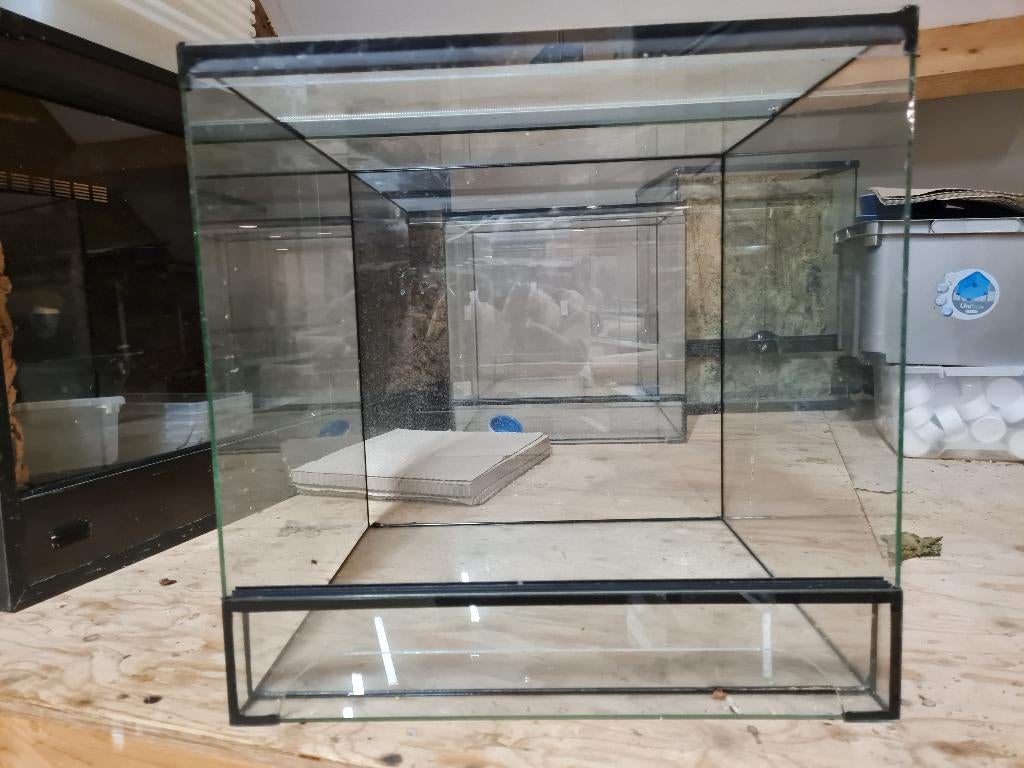 Terrarium 50x50x50, Ophalen, Zo goed als nieuw, Terrarium of Paludarium