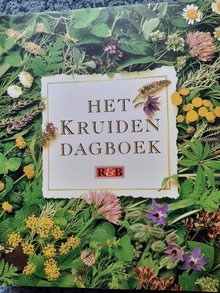 Koken en creatief zijn/3 boeken in uitstekende staat, Ophalen of Verzenden, Zo goed als nieuw, Europa, Overige typen