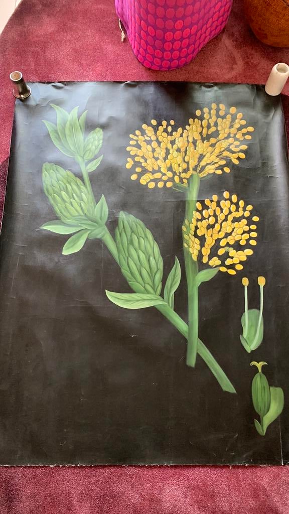 Bloemen op doek geschilderd, Ophalen, Gebruikt, Schilderij, 75 tot 100 cm