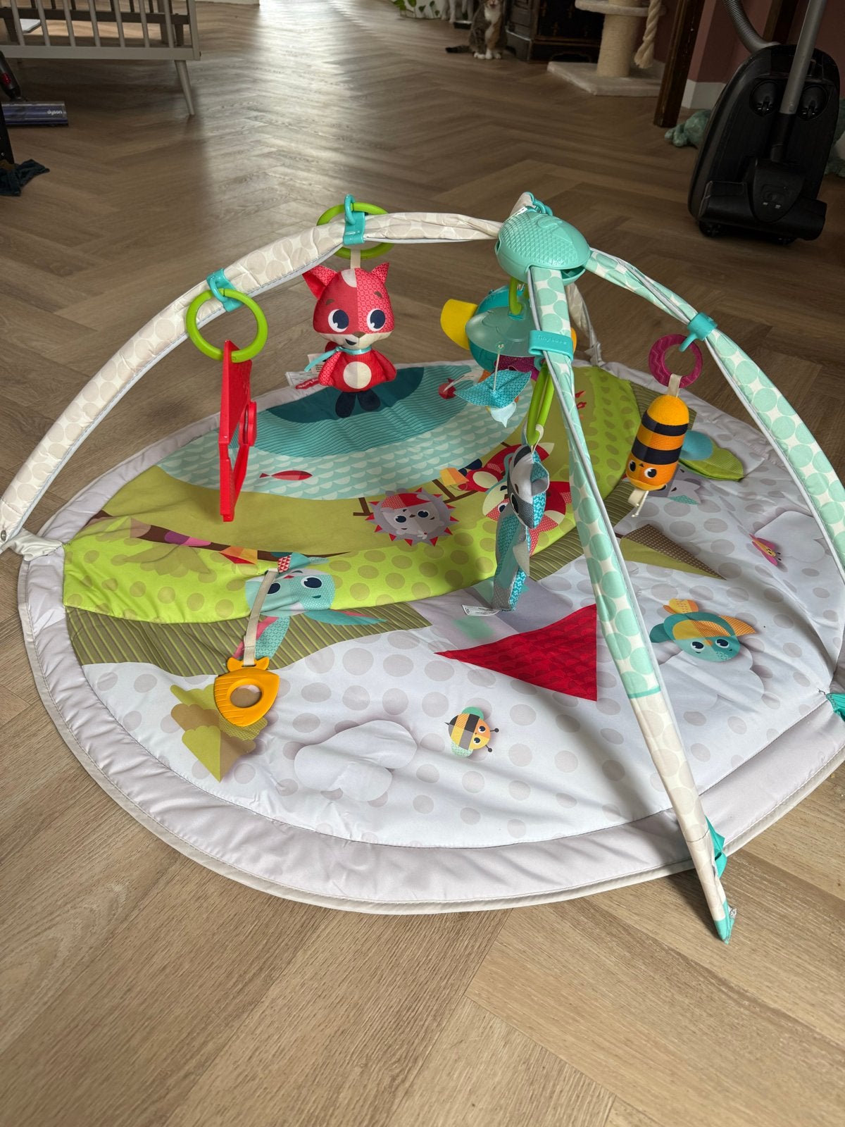 Tiny Love Babygym speelkleed, Kinderen en Baby's, Ophalen, Gebruikt, Babygym