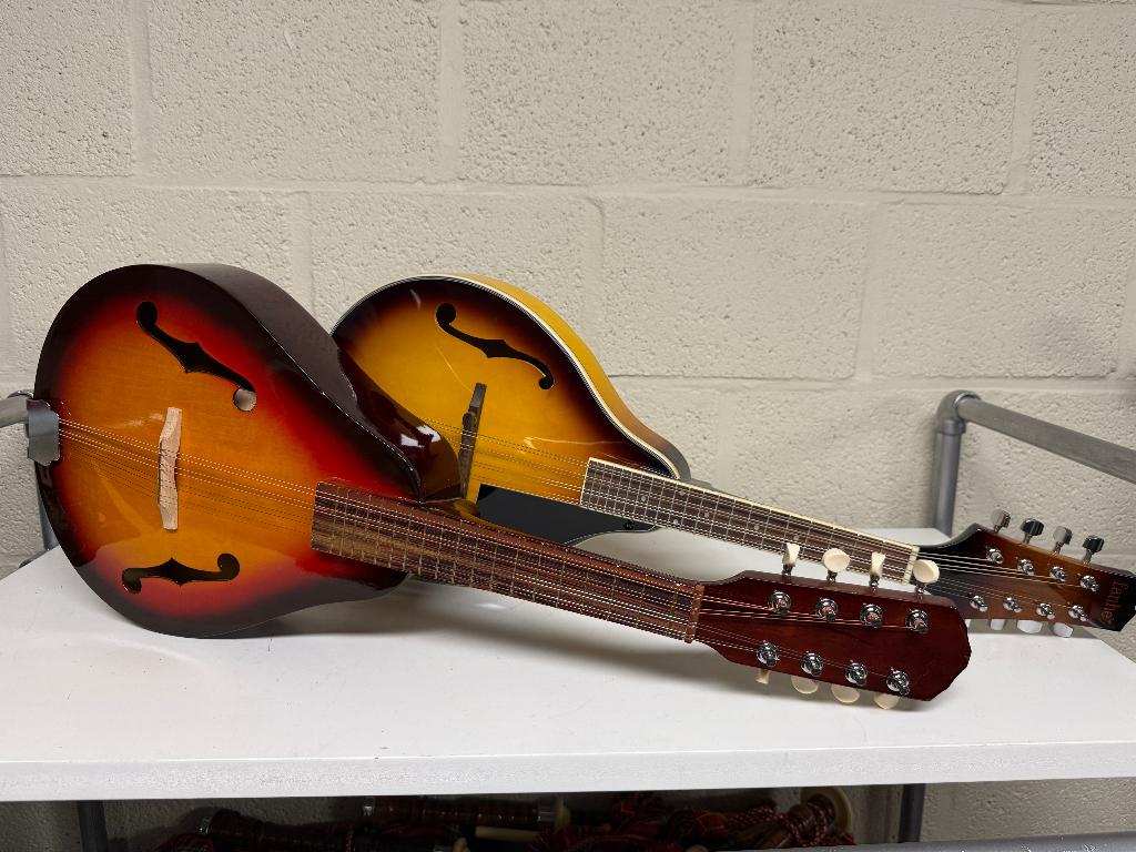 Zelfspelende mandoline en Ukule citers, Muziek en Instrumenten, Ophalen of Verzenden, Gebruikt