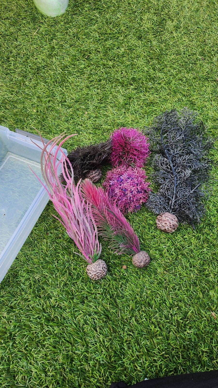 Biorb aquarium plantjes, Ophalen of Verzenden, Zo goed als nieuw