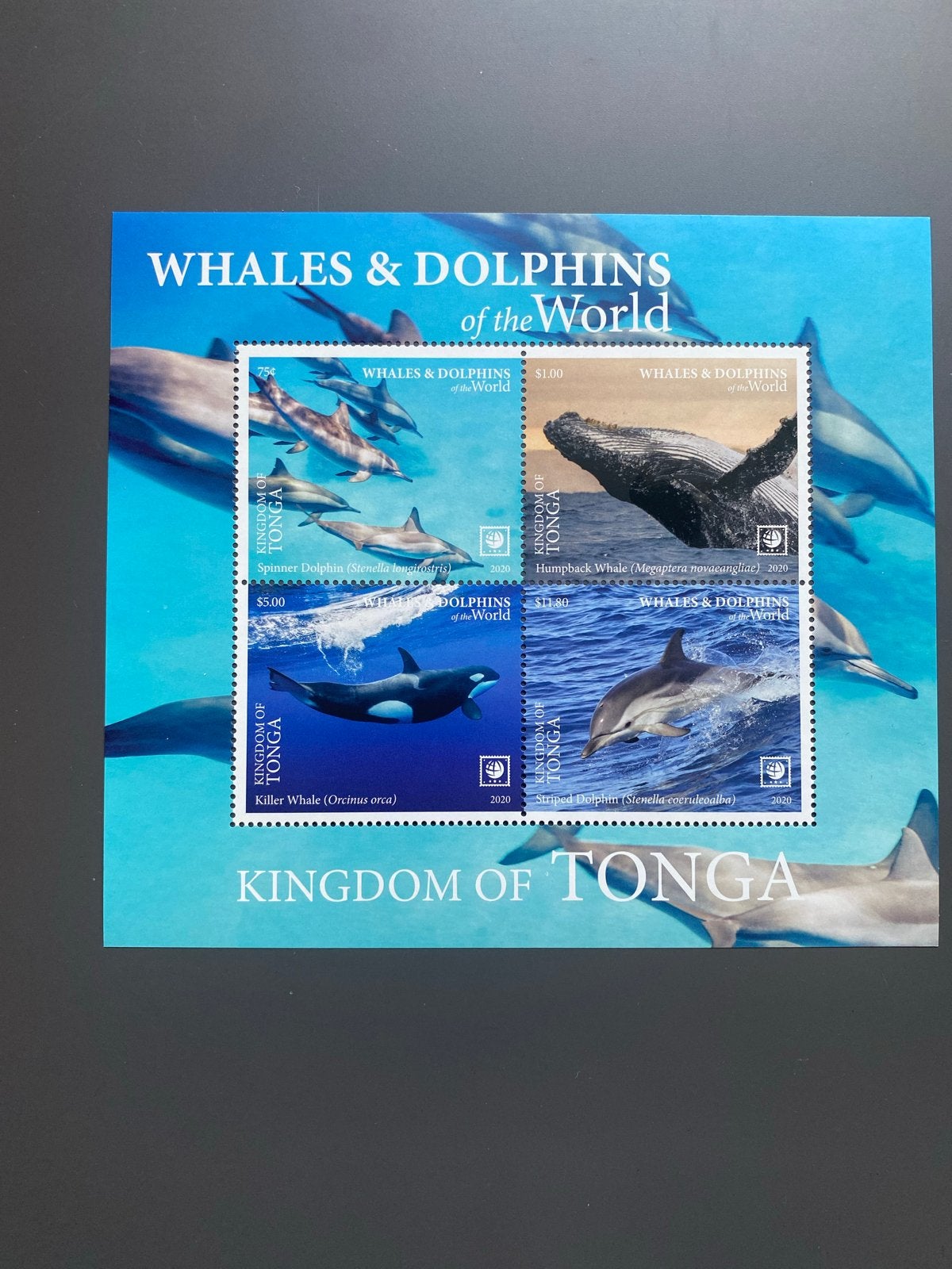 Postzegelvel Tonga 2020 - Walvissen en Dolfijnen postfris, Ophalen of Verzenden, Postfris, Dier of Natuur