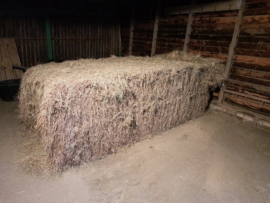 Suikerarm paardenhooi., Ophalen, Vee