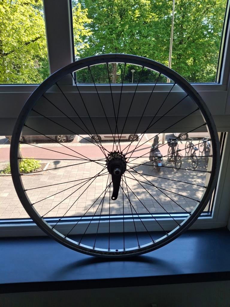 Achterwiel met terugtraprem 28 x 1 3/8 x 1 5/8, Ophalen