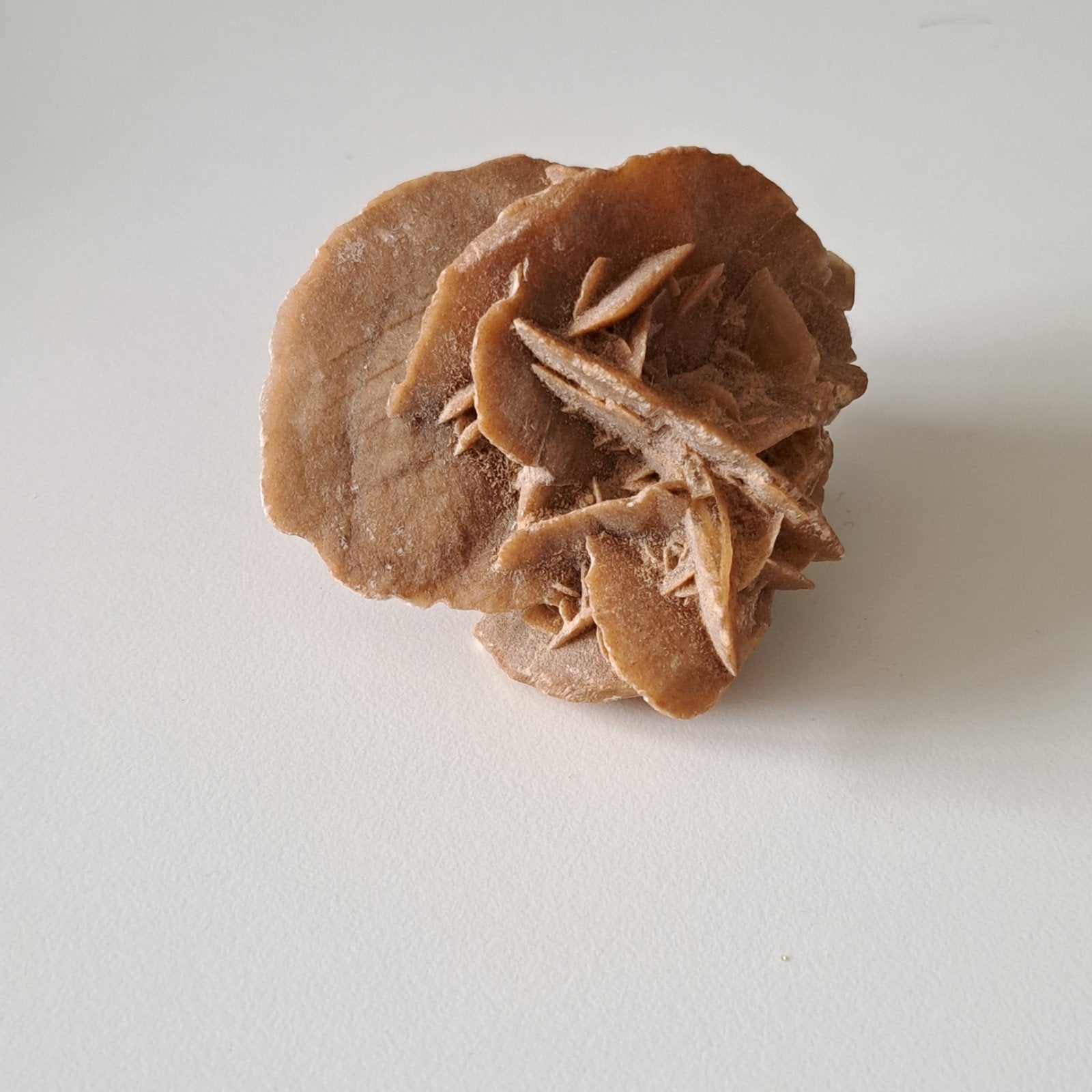 Woestijnroos mineraal, Ophalen of Verzenden, Mineraal