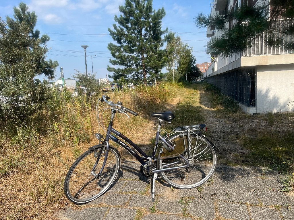 Dames fiets Gazelle Geneve, Ophalen, Gebruikt, Versnellingen, 50 tot 53 cm