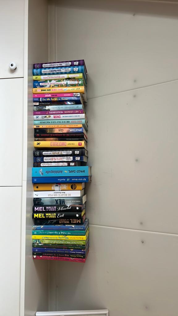 Jeugdboeken: Leven van een Loser, Waanzinnige Boomhut, GVR, Ophalen, Gelezen, Nederland