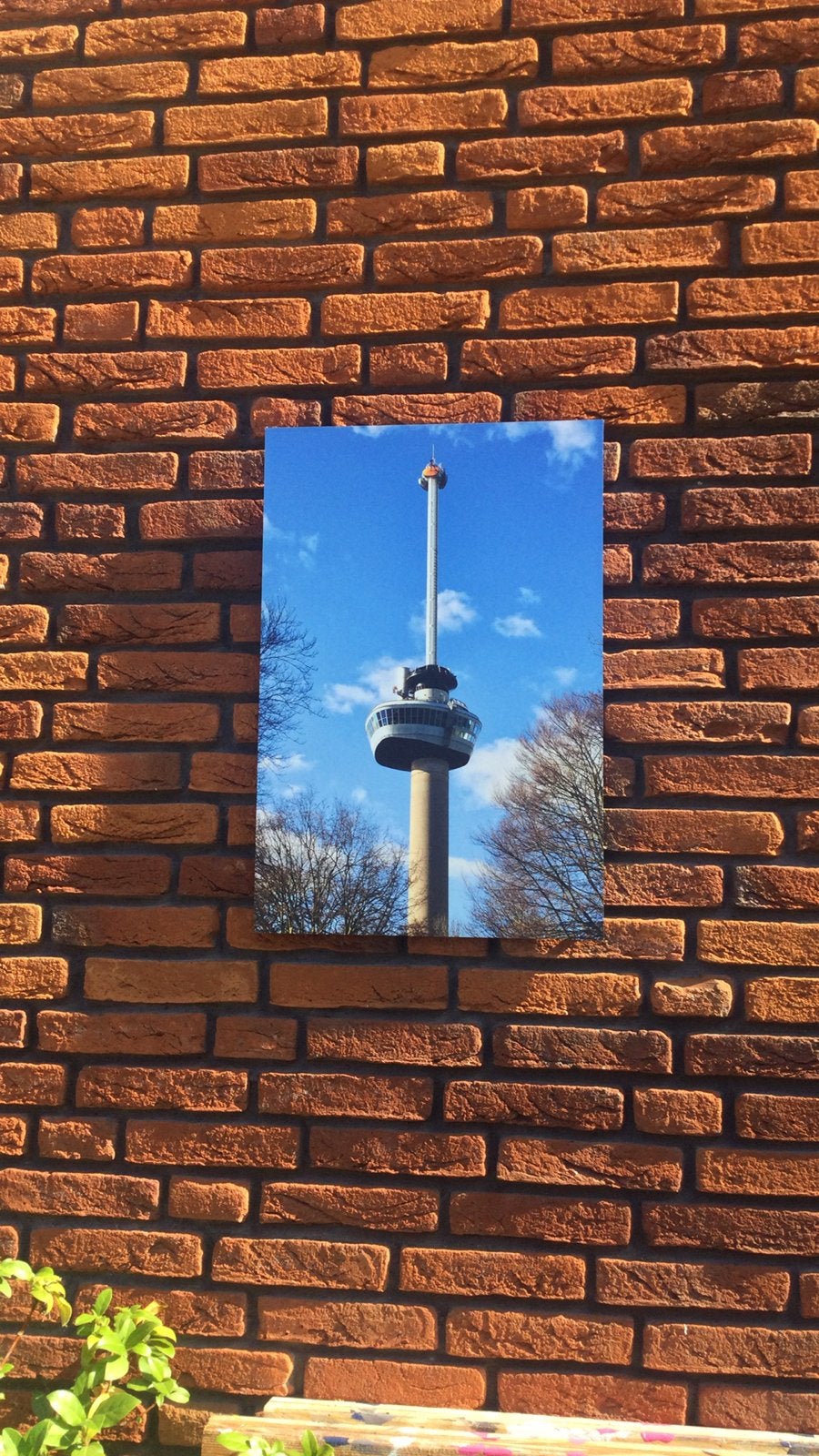 Euromast foto 40/70 cm, Verzamelen, Ophalen of Verzenden, 1940 tot 1960, Zo goed als nieuw, Overige onderwerpen