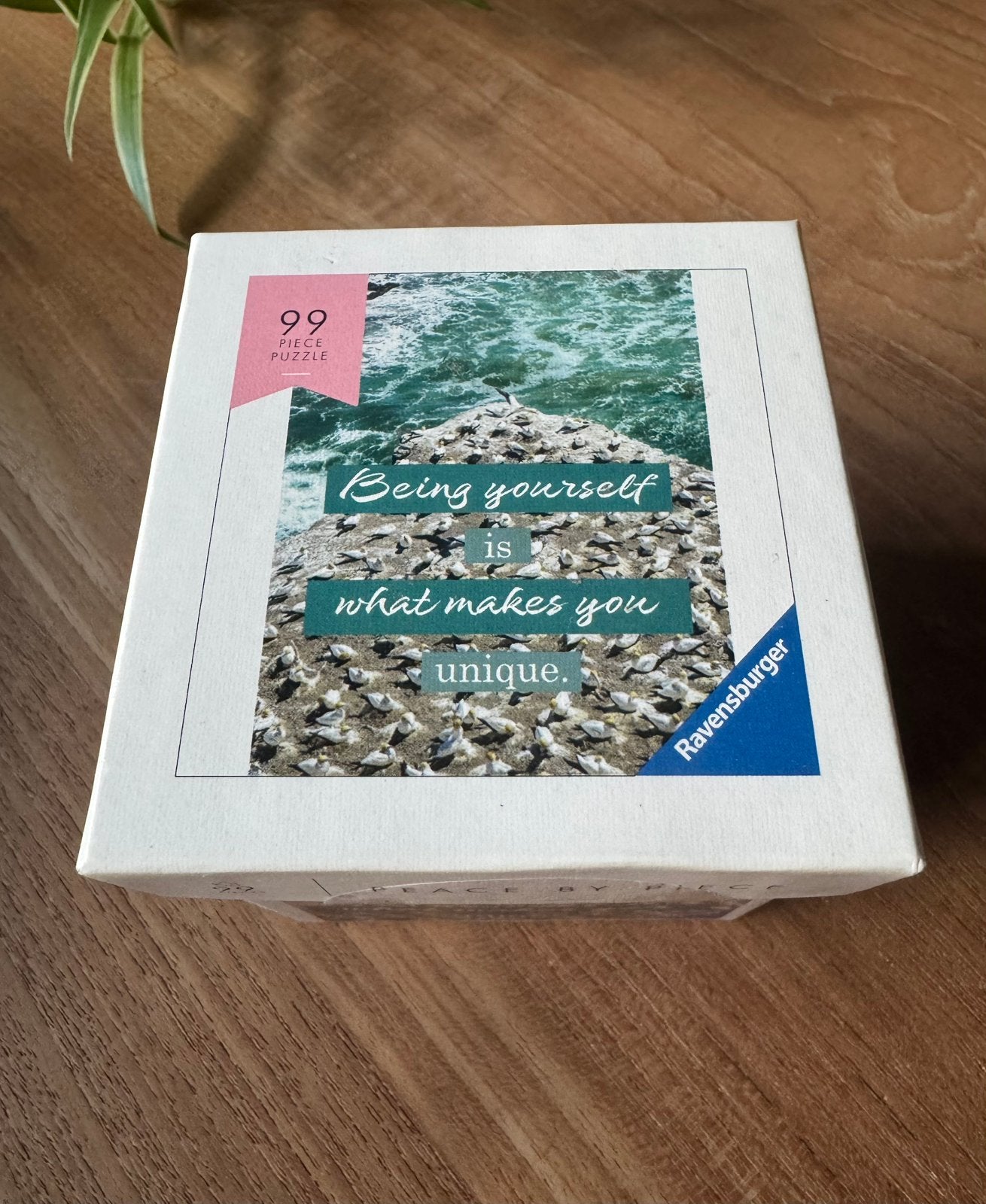KADO TIP  Ravensburger Moment puzzel, Ophalen of Verzenden, Minder dan 500 stukjes, Zo goed als nieuw