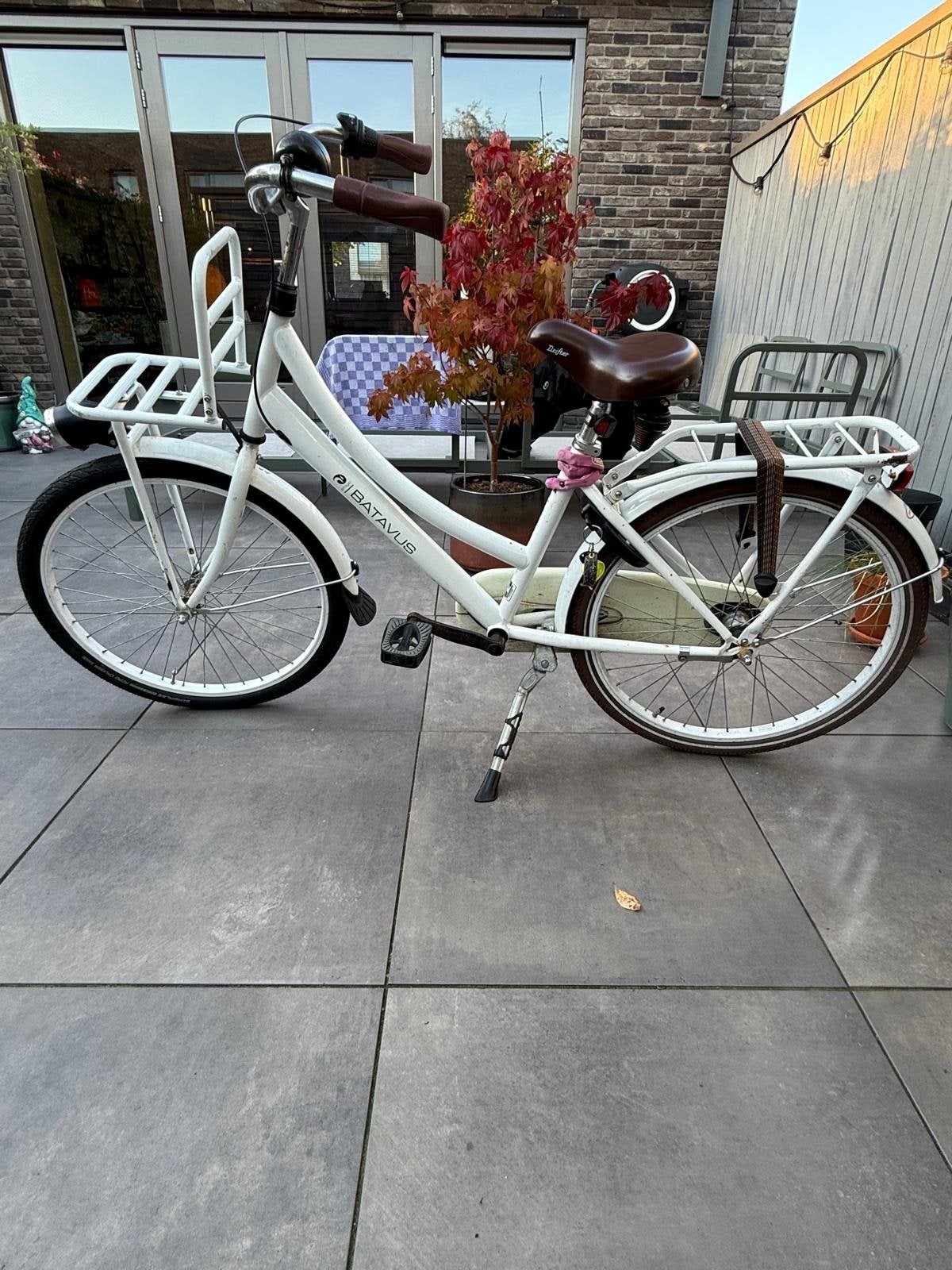 Batavus Amigo, Ophalen, Terugtraprem, Versnellingen, Gebruikt