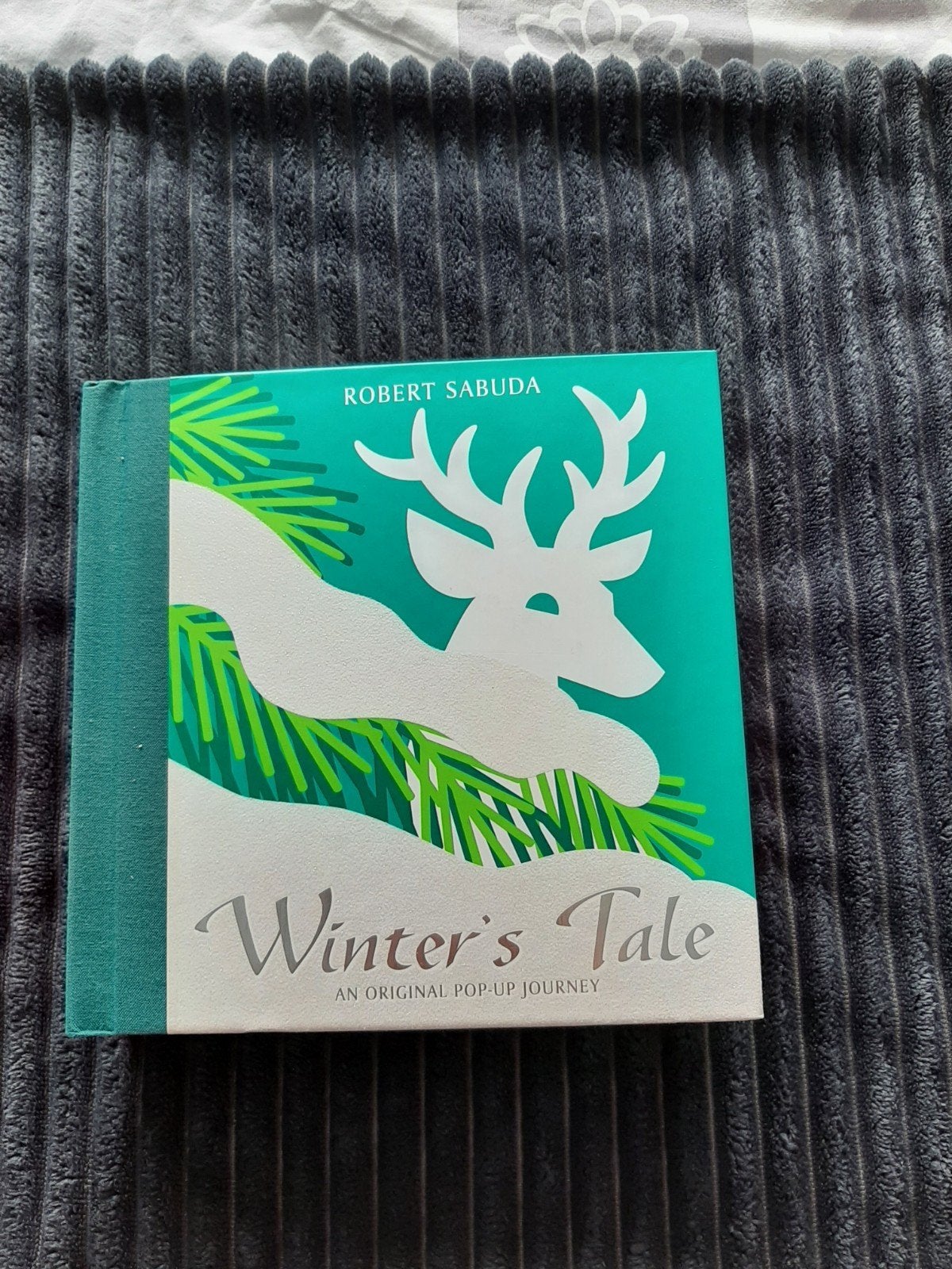 A winter's tale pop up boek Robert Sabuda, Boeken, Ophalen of Verzenden, Gelezen, Robert Sabuda