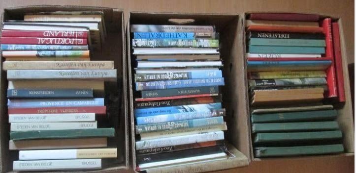 3 Volle Bananendozen met oude Prentenboeken, Boeken, Ophalen, Zo goed als nieuw, Prentenboek