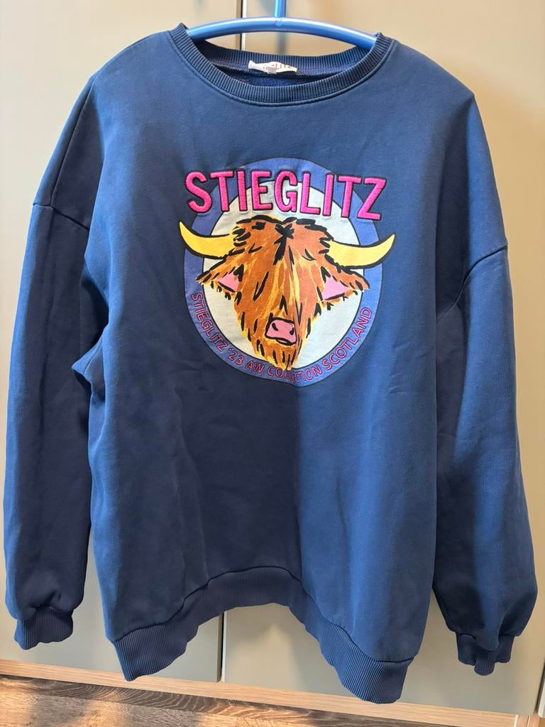 Stieglitz oversized trui, Ophalen of Verzenden, Zo goed als nieuw