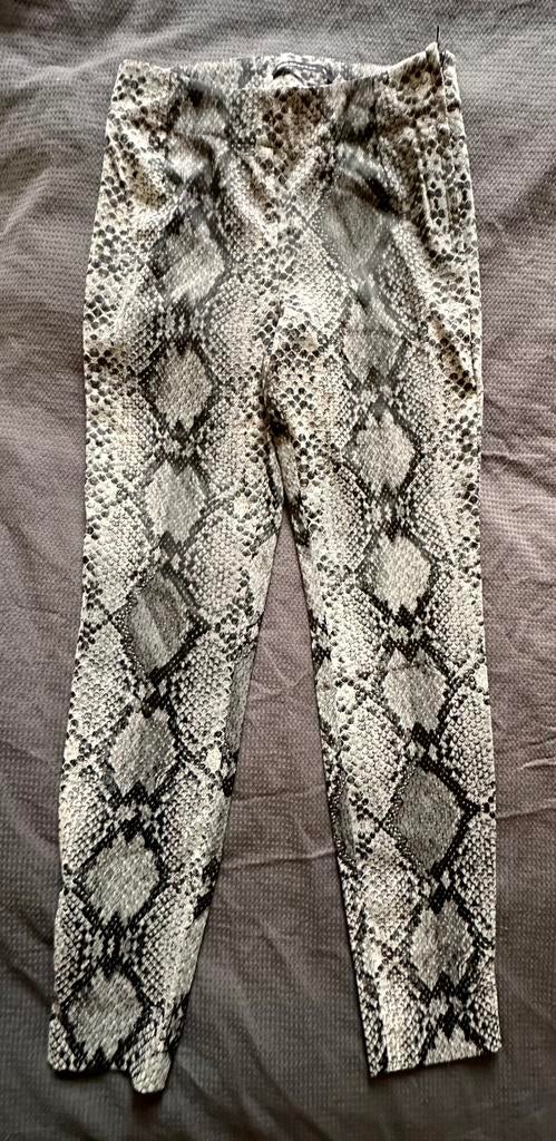 Stretch broek van Expresso, maat 36, Ophalen of Verzenden, Zo goed als nieuw, Maat 36 (S), Lang