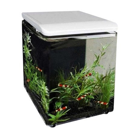 Superfish Aquarium Home 8 - 8L garnalen aquarium - Nieuw, Dieren en Toebehoren, Ophalen, Pomp, Nieuw, Leeg aquarium