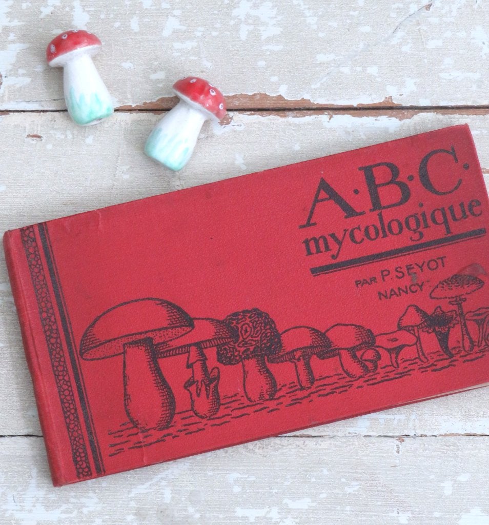 Antiek Frans boek “ABC Mycologique” ( paddenstoelen) -1926, Antiek en Kunst, Ophalen of Verzenden