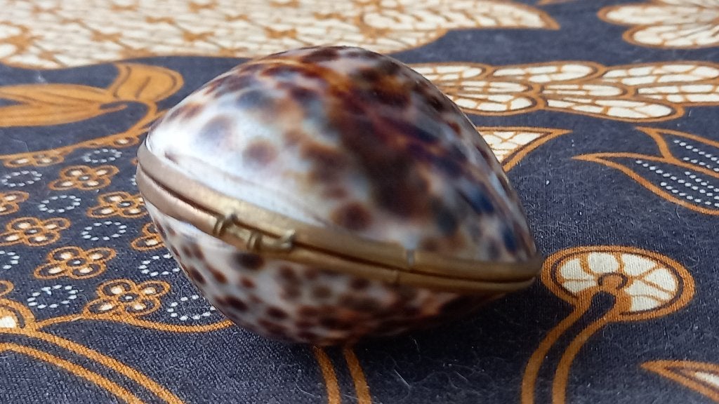 Mooi oud antiek doosje van een caurie schelp en koper 5,5 cm, Antiek en Kunst, Ophalen of Verzenden