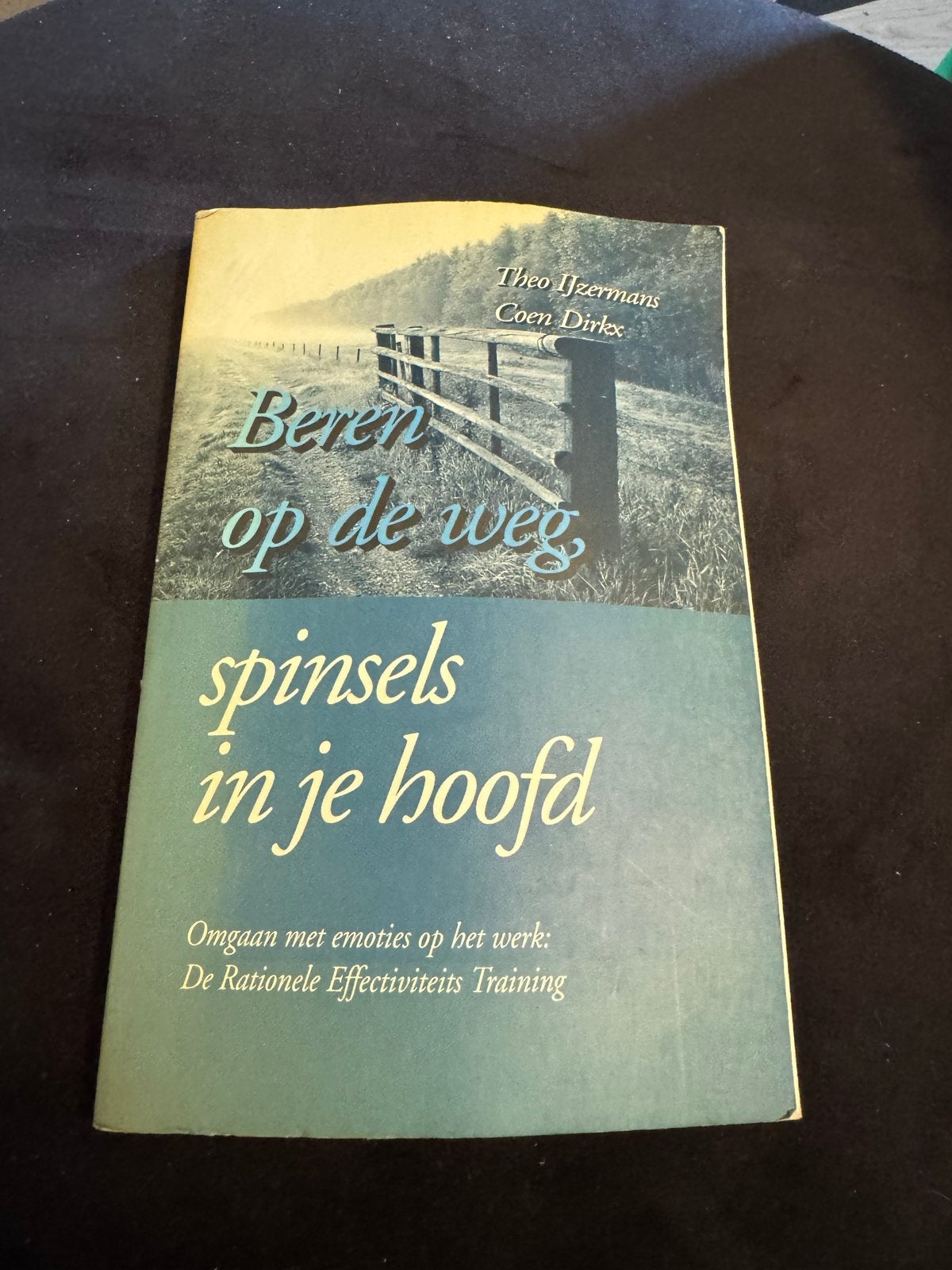 Beren op de weg, spinsels in je hoofd - T. IJzermans, Boeken, Ophalen of Verzenden, Gelezen, Klinische psychologie