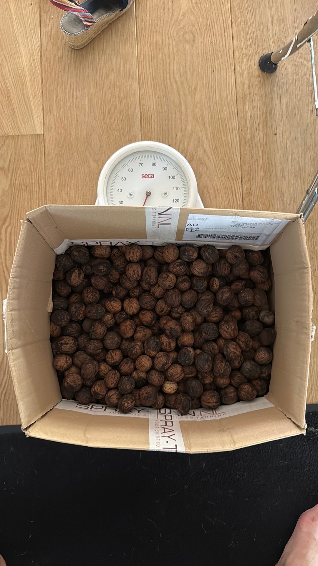 Ruim 8 kilo walnoten, Diversen, Levensmiddelen, Ophalen of Verzenden