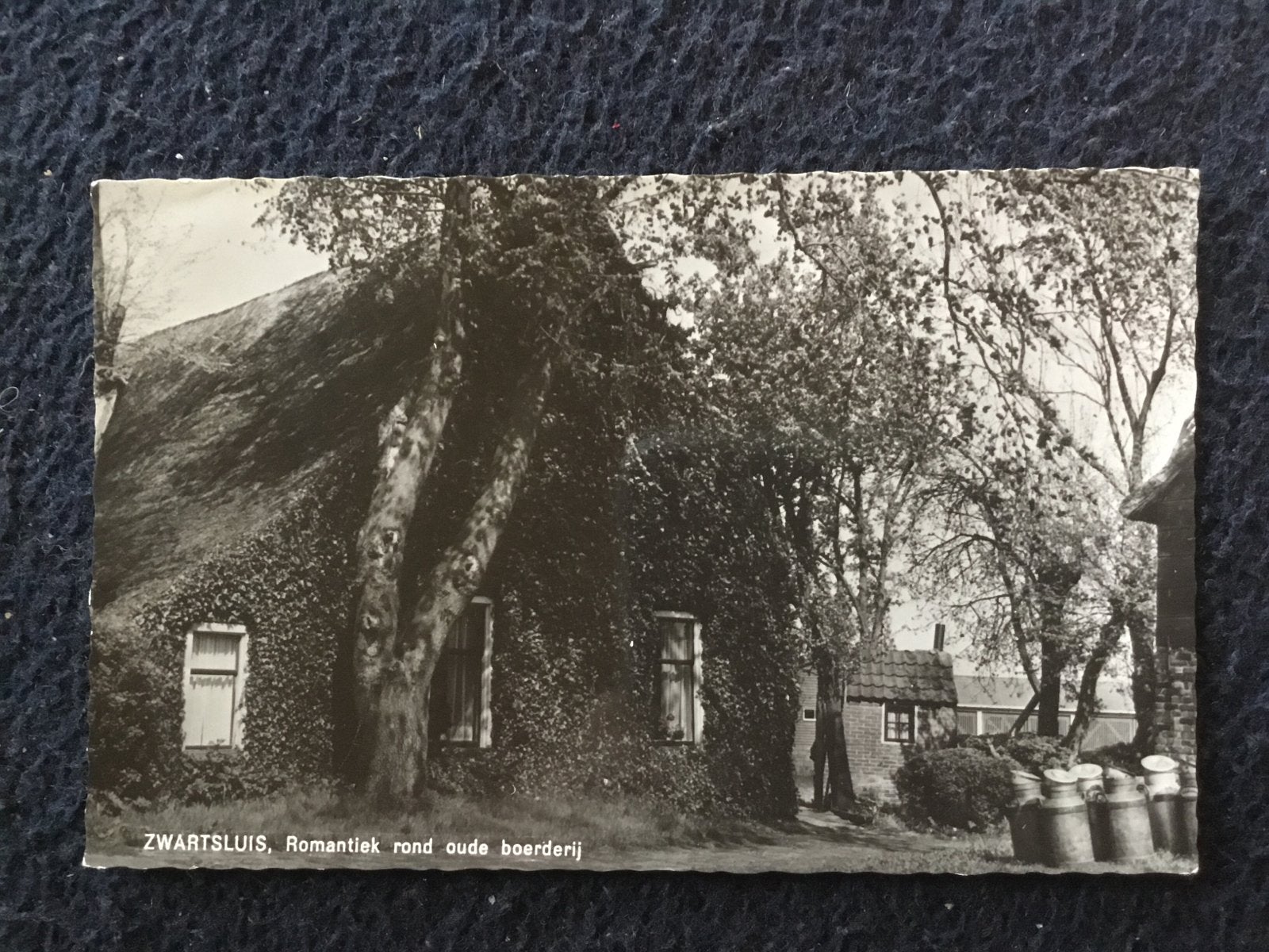 Zwartsluis, Romantiek rond oude boerderij - Ansichtkaart, Verzamelen, Ophalen of Verzenden, 1960 tot 1980, Gelopen, Overijssel