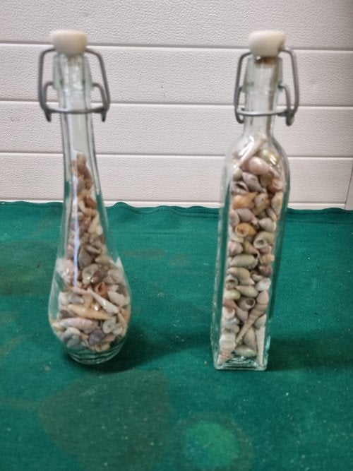 flesjes met mini schelpen 2 stuks, Ophalen of Verzenden, 'T Olde Gre-j, Info@toldegrej.nl, Endepoelstraat 20f Didam