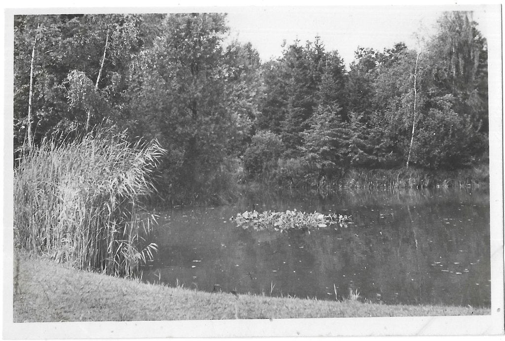 AK Bloemendaal - Vijver Thijsse's Hof, Verzenden, 1960 tot 1980, Ongelopen, Noord-Holland
