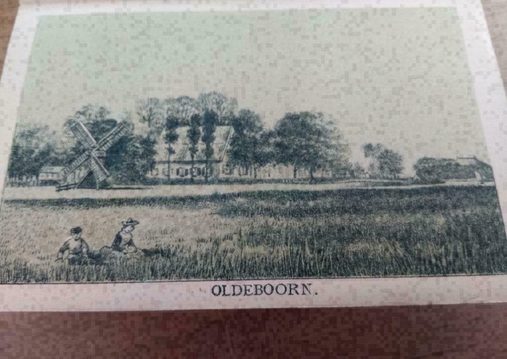 12 / Oldenboorn  Litho zeldzaam 1894 (FR), Ophalen of Verzenden