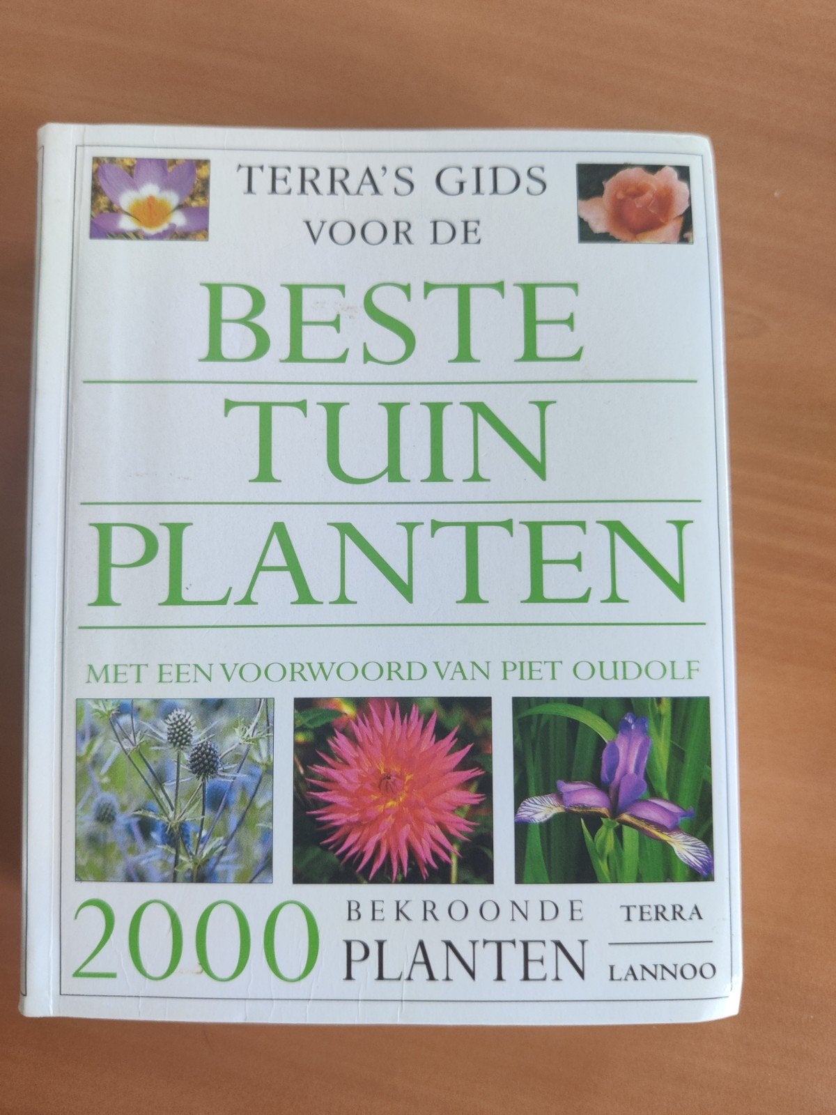 Terra's Gids voor de Beste Tuinplanten - Pocket Versie, Boeken, Ophalen of Verzenden, Gelezen, Piet Oudolf (voorwoord), Tuinieren en Tuinplanten