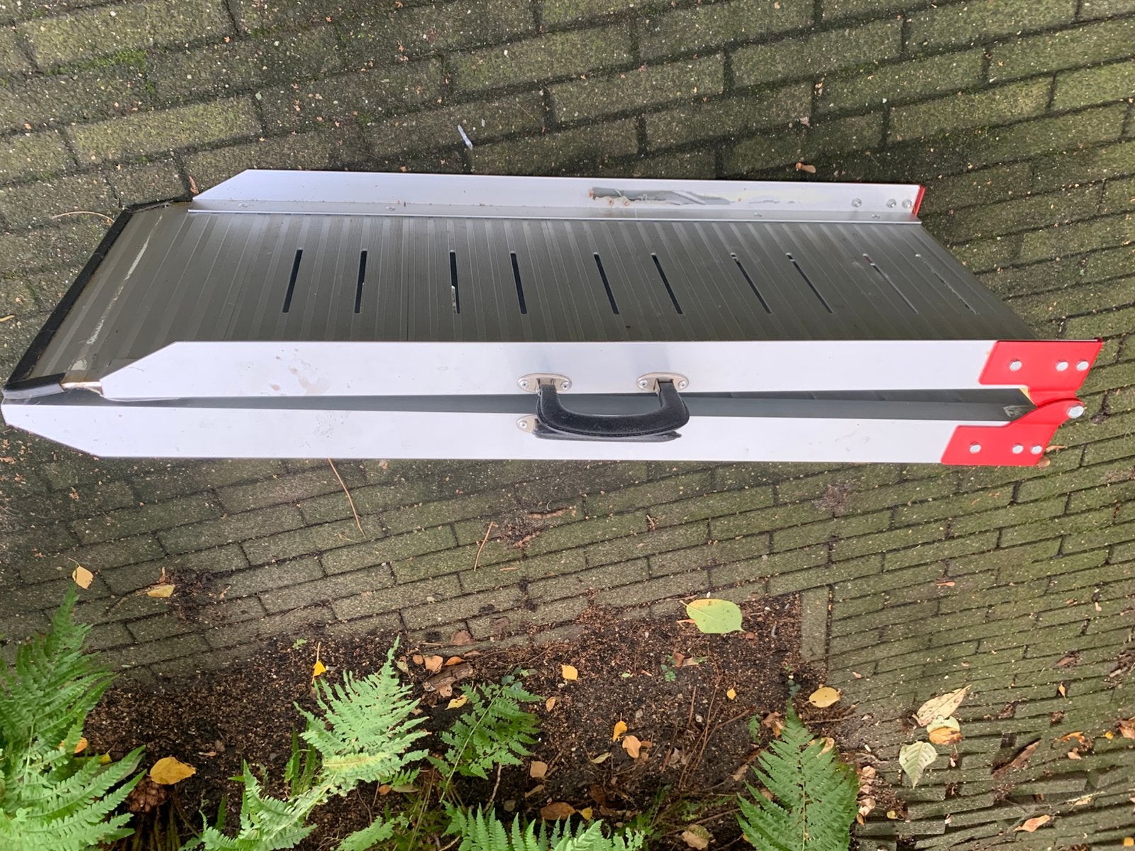 Oprijplaat / loopplank voor hond, Ophalen, Zo goed als nieuw