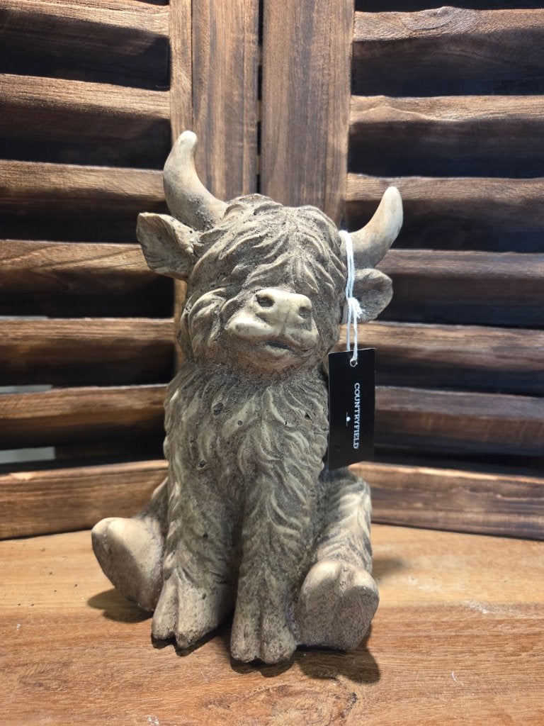 Countryfield Schotse Hooglander Yuki M bruin 14x14x22.5cm, Overige materialen, Nieuw, Ophalen of Verzenden, Decostar